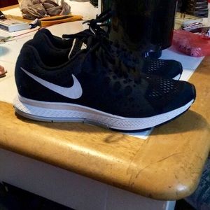 Nike Zoom Pegasus 31